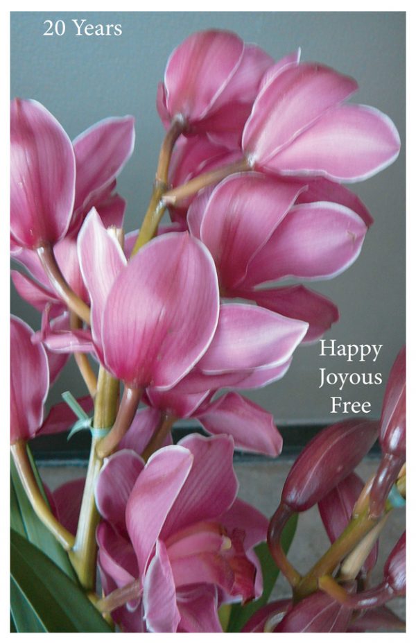 20 year card - Happy Joyous Free