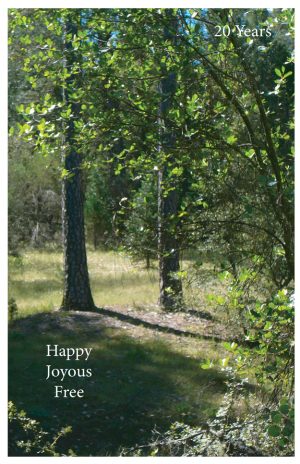 20 Year card - Happy Joyous Free