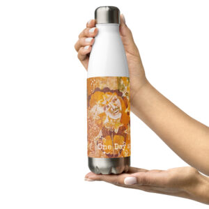One Day at a Time - Stainless steel water bottle